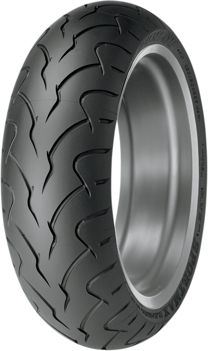 DUNLOP Tire - D207 ZR - Rear - 180/55ZR18 - (74W)