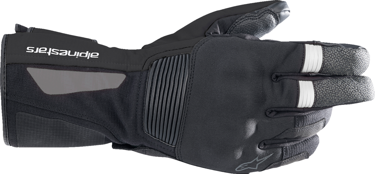 ALPINESTARS Denali Aerogel Drystar® Gloves - Black - Small