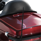Ciro Antenna 12'BLK Flex Base