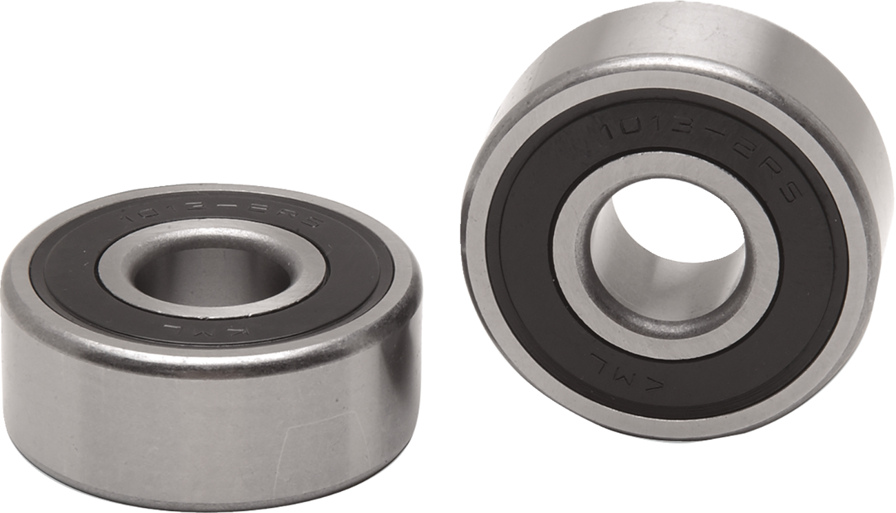 Drag Specialties Wheel Bearings F/00-07