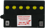 Parts Unlimited Battery R12N11-3A-1