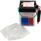 Parts Unlimited Battery #6N4-2A-8