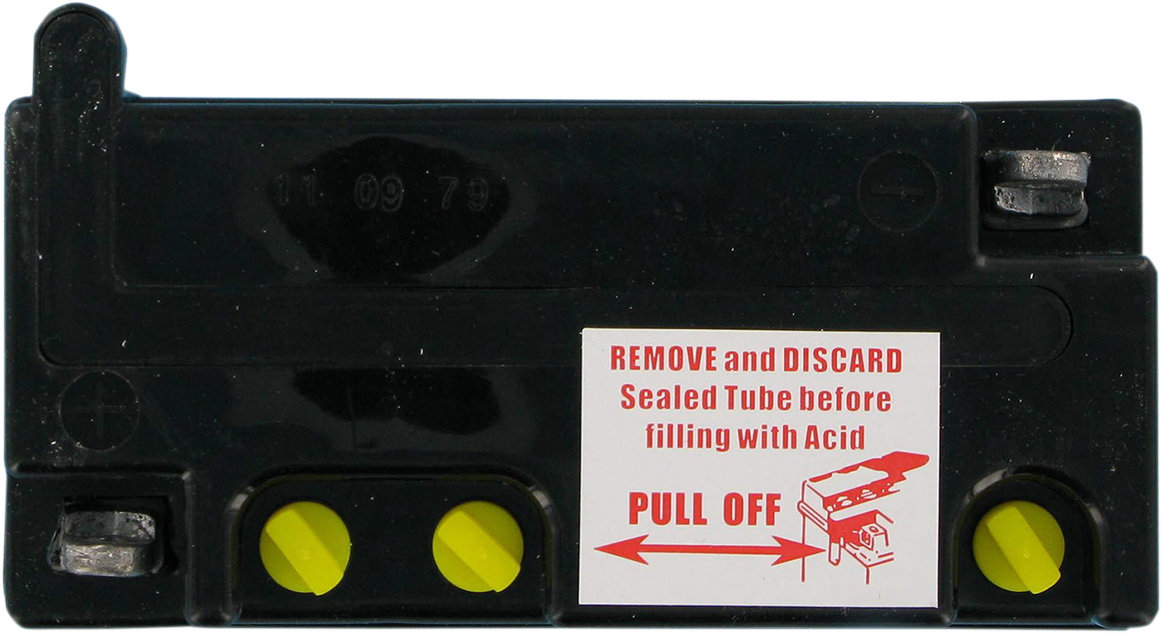 Parts Unlimited Battery Y6YB11-2D