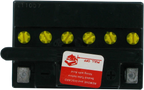 Parts Unlimited Battery #YB10L-A2