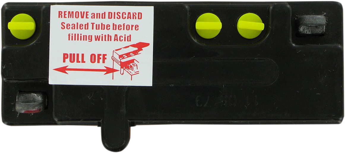 Parts Unlimited Battery B54-6
