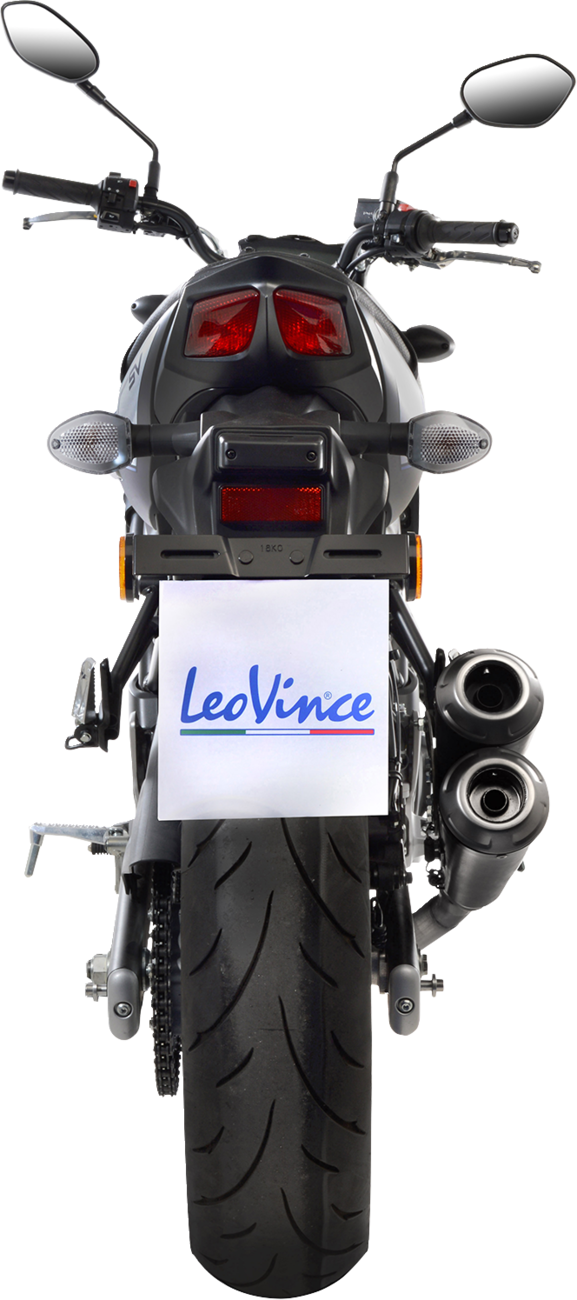 LeoVince Dual GP Muffler (3)