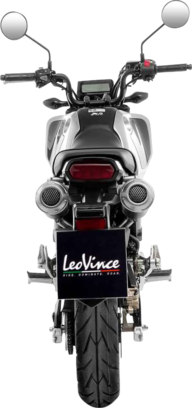 LeoVince LV-10 Exhaust - Carbon Fiber - 1810-3093