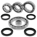 QuadBoss Diff Bearing - Suzuki LT-F500F QuadRunner 4x4 (2001–2002)