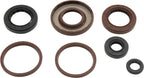 QuadBoss Oil Seal Set - Arctic Cat DVX 300 (2009–2015)