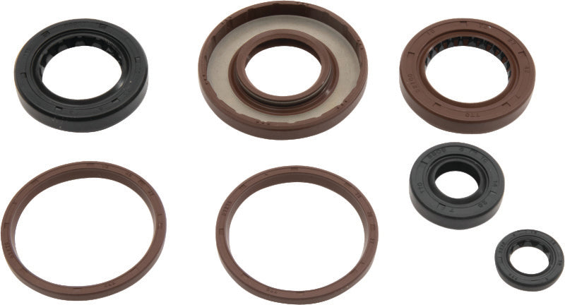 QuadBoss Oil Seal Set - Arctic Cat DVX 300 (2009–2015)