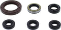 QuadBoss Oil Seal Set - Suzuki LT-Z400 QuadSport Z (2009–2014)