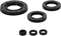 QuadBoss Oil Seal Set - Honda, 10 models (2016–2020)