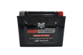 Twin Power YTX-20HL High Performance Battery Replaces H-D 65989-97A Made in USA 310 CCA
