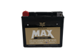 Twin Power GYZ-20H Premium MAX Battery Replaces H-D 65991-82B Made in USA 320 CCA